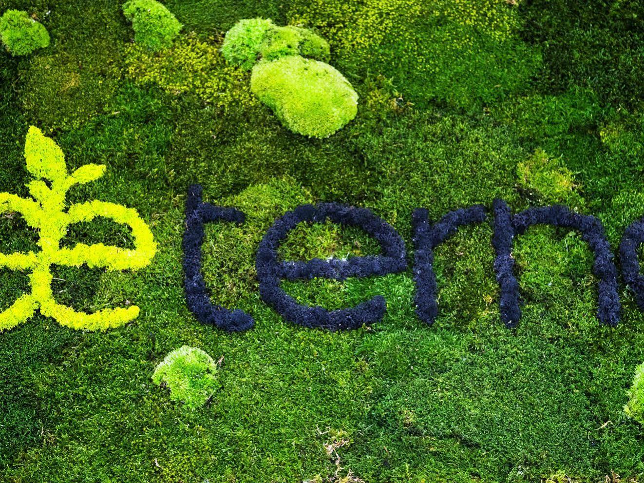 Aeterno Eco Guest House Rome Buitenkant foto